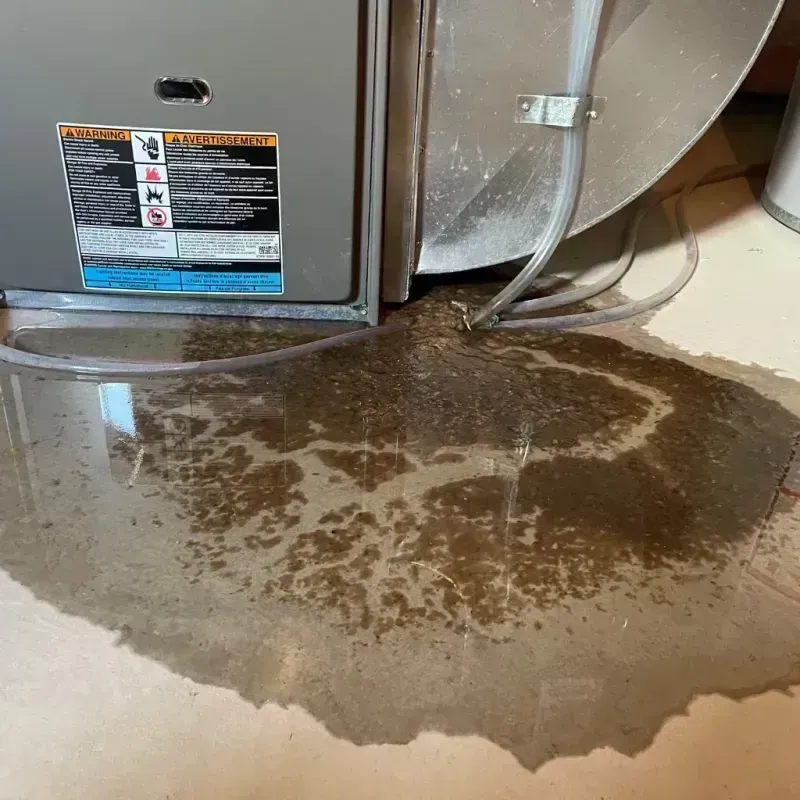 Appliance Leak Cleanup in Laurens County, SC